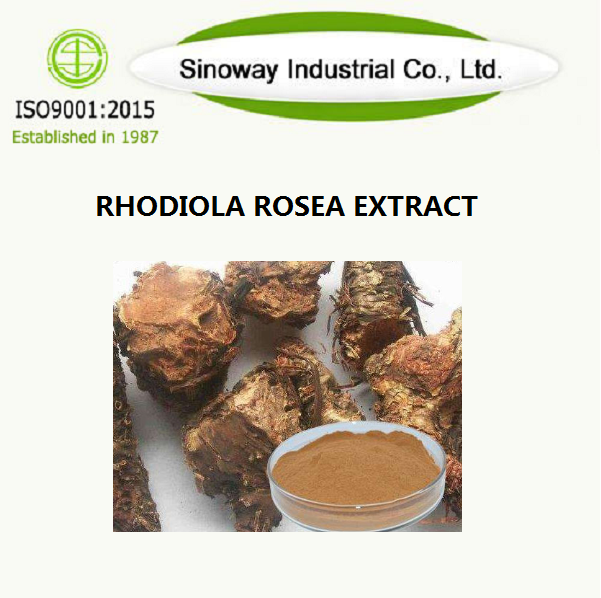 Rhodiola rosea-extract