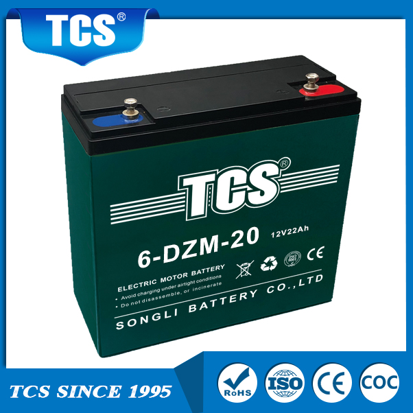 Electric Bike Fietsbatterij TCS 6-DZM-20 TCS-batterij