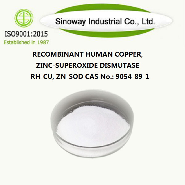 Recombinant menselijk koper, zink-superoxide dismutase RH-CU, ZN-SOD 9054-89-1