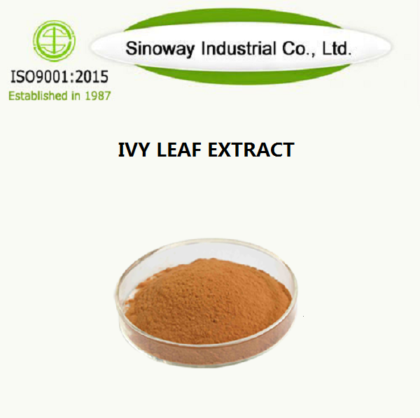Ivy blad extract