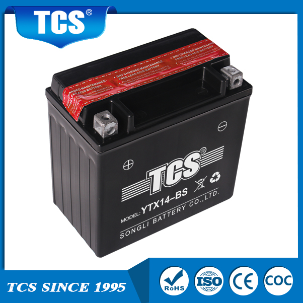 TCS Dry Charged onderhoud Gratis YTX14-BS