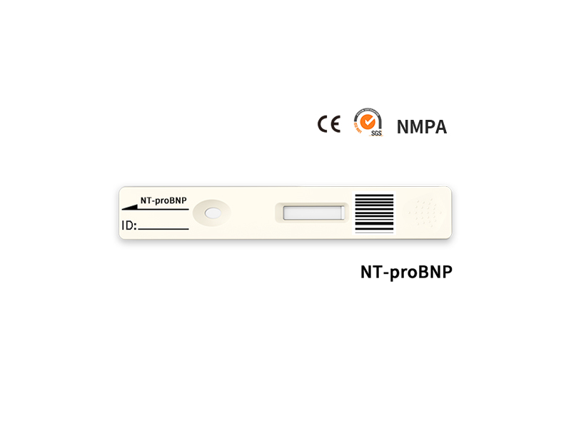 NT-Probnp Rapid Quantitatieve test