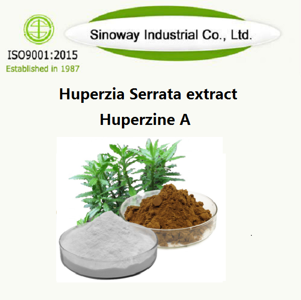 Huperzia Serrata-extract / Huperzine A 102518-79-6