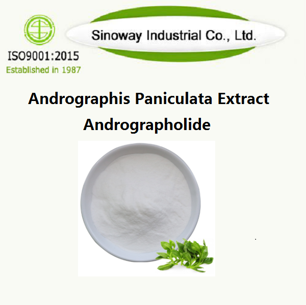 Andrographis Paniculata-extract / Andrographolide
