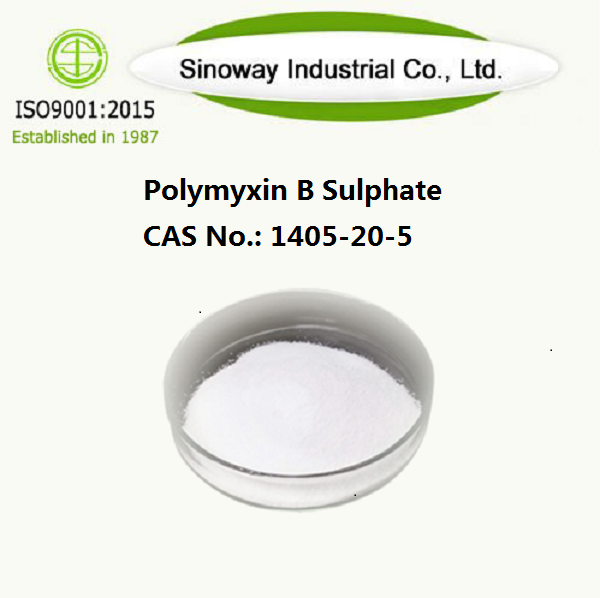 Polymyxine B-sulfaat 1405-20-5