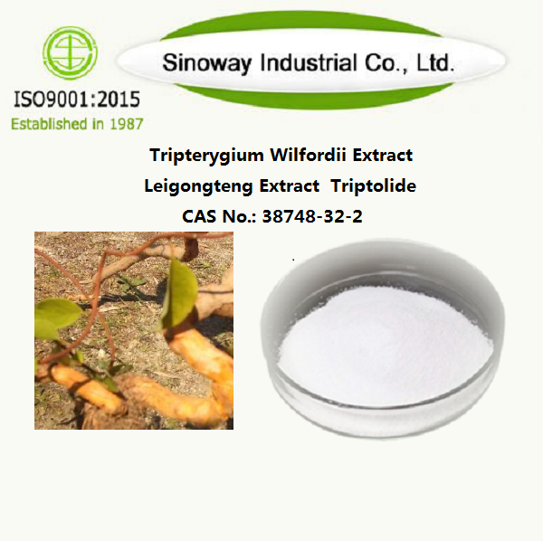Tripterygium Wilfordii-extract / Leigongteng-extract / Triptolide 38748-32-2